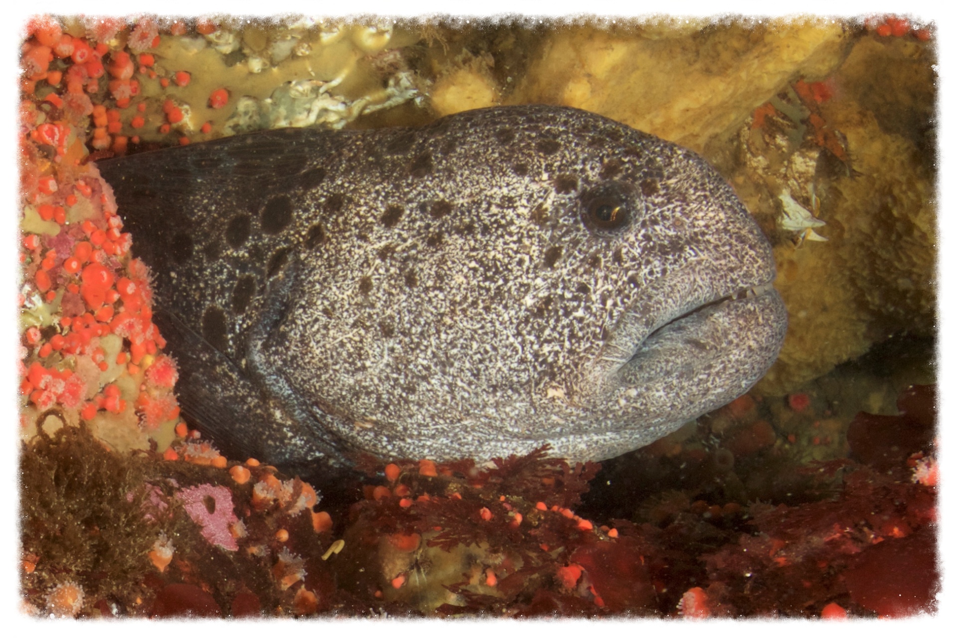 Photo by Sheldon Boyd